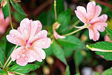 《Apex英雄》新故事短片：“抹杀代码”第一部分